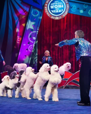 Paranormal Cirque Inferno event