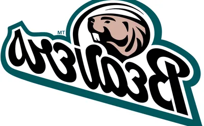Bemidji State Beavers