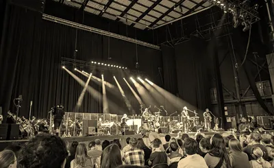 Guster