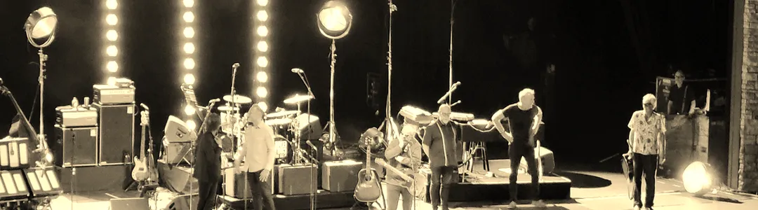 Los Straitjackets