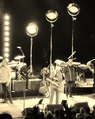 Los Straitjackets