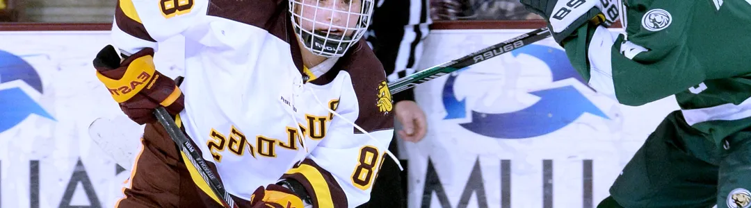 Minnesota Duluth Bulldogs
