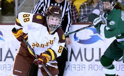 Minnesota Duluth Bulldogs