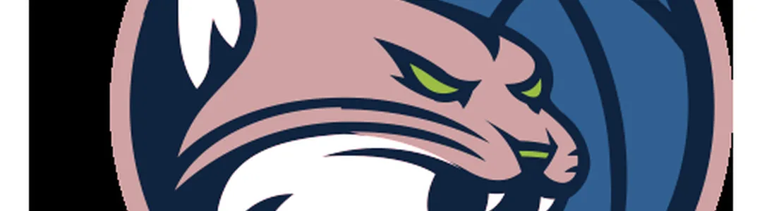 Minnesota Lynx