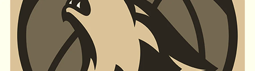 Minnesota Timberwolves