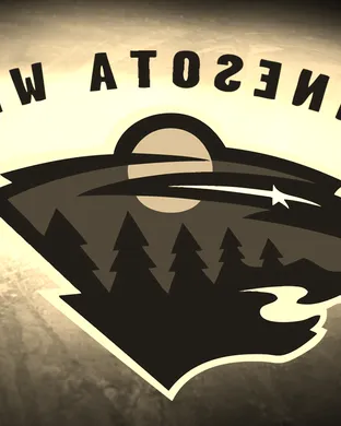 Minnesota Wild vs. Anaheim Ducks