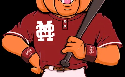 Mississippi State Bulldogs