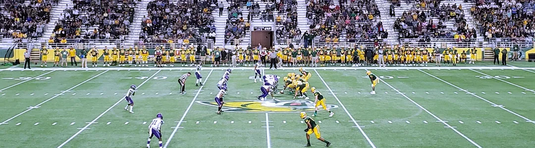 Northern Michigan Wildcats