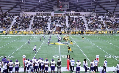 Northern Michigan Wildcats