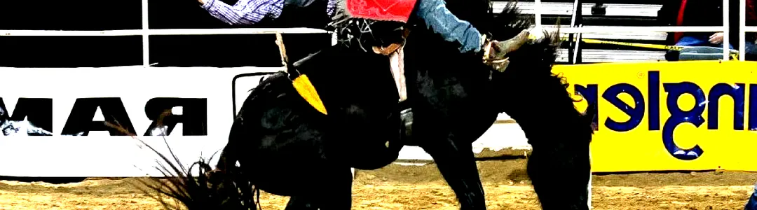 PRCA Rodeo
