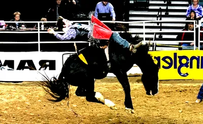 PRCA Rodeo