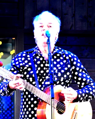 Robyn Hitchcock
