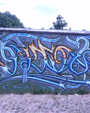 Salvaging Our Spring (SOS): A Caberplay