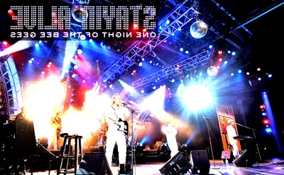 Stayin' Alive - One Night of the Bee Gees