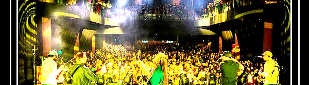 The Kitchen Dwellers