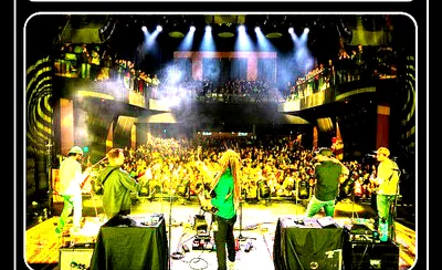 The Kitchen Dwellers