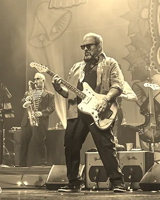 The Mavericks