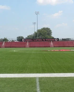 Minnesota Vikings Training Camp