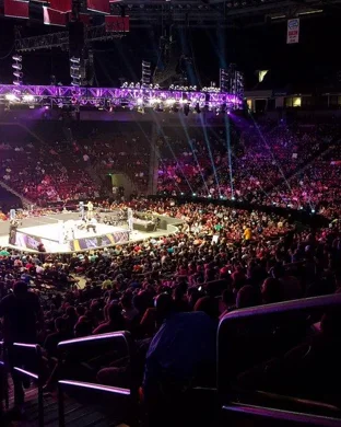 Minnesota Roller Derby
