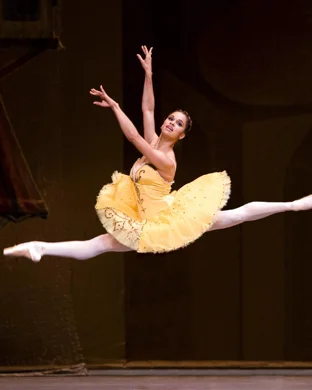 Metropolitan Ballet